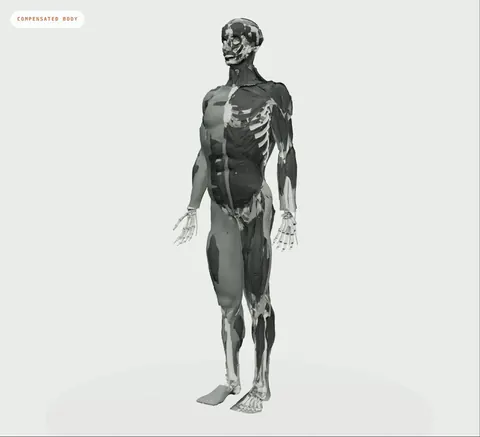 A study from the book: the whole body standing on compensated feet