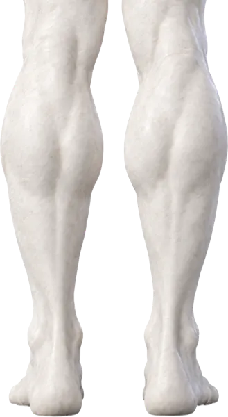 The marble statue's calves and heels from behind: both heels straight, both inner calves full.