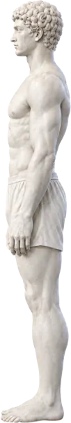 The marble statue standing tall from the side: ear over shoulder, shoulder over hip, hip over ankle.