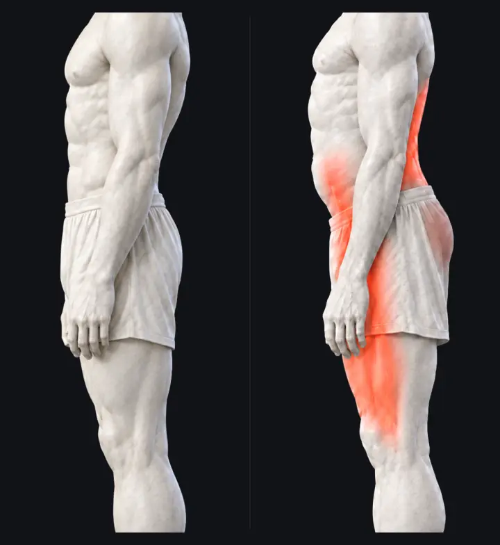 Two marble statues from the side, close on the pelvis. Left, stacked: the belt line is level and nothing glows. Right, tipped: the front of the pelvis drops, the hip flexors, the front of the thigh and the lower back glow red (tight), and the glutes and lower belly glow a dimmer red (asleep).